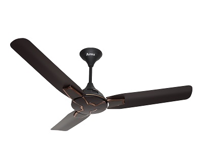 Ceiling Fan Prime New Choco Brown